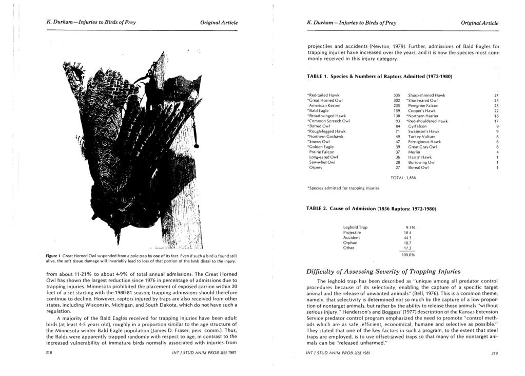 K. Durham-Injuries to Birds of Prey Ori~?inal Article projectiles and accidents (Newton, 1979).