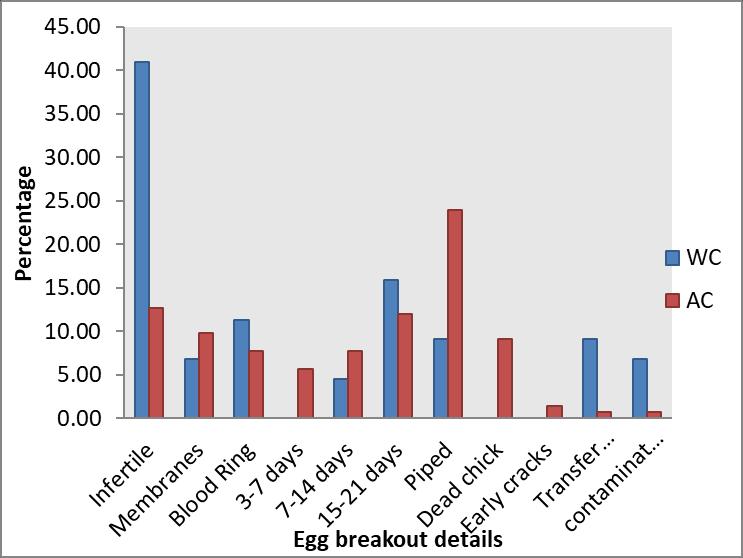 P 1741 abnormality can be the result of more than one problem. Experience of hatch breakouts with good hatching flocks is important for understanding what is normal and abnormal.