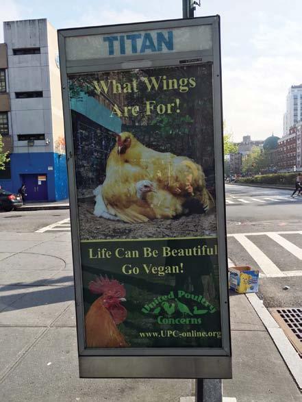 Volume 26, Number 1 United Poultry Concerns www.upc-online.org UPC Kiosks Take What Wings Are For to New York City Streets International Respect for Chickens Month Celebrates Chickens in NYC!