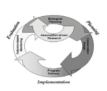 Appendix II Strategic Habitat Conservation Strategic habitat conservation (SHC) is defined as an iterative process of developing and refining a conservation strategy, making efficient management