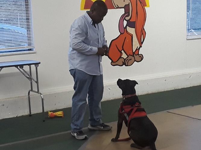 Training Intent Our programs do not teach a specific set of commands, rather our courses train behaviors with a variety of commands that best fit the handler and the dog.