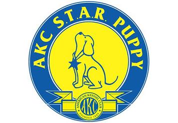 Puppy Training/ AKC Star Puppy Puppy training is the first step to training any new recruit in our program under one year old. There is one version of Puppy Training: VSD-101: Training Audience.