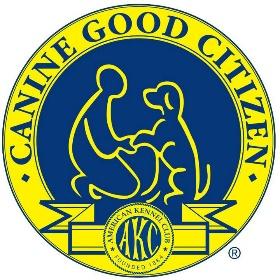 AKC CGC Training/ Testing Canine Good Citizen I is the third step to training any dog in our program.