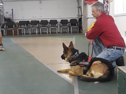Advanced Training/Obstacles Advanced training is the fourth step for every dog in our program.