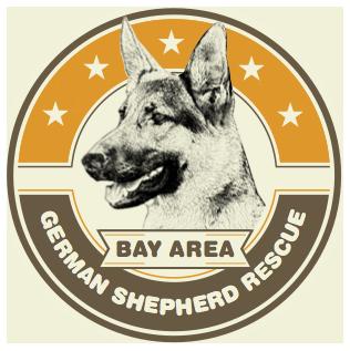 Bay Area German Shepherd Rescue - Foster Guide 1 - Getting