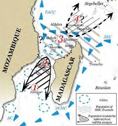 At the fronter Mozambique Channel Oceanography Separaton
