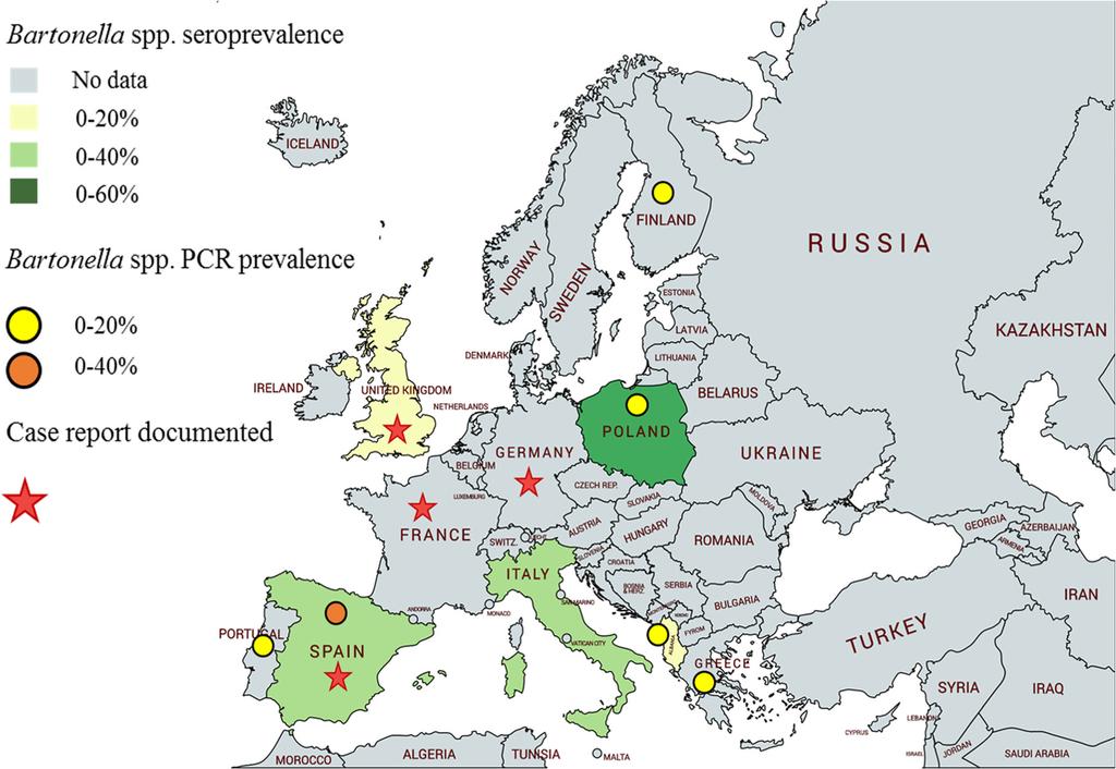 Page 8 of 21 Fig. 2 Geographical distribution maps depicting Bartonella serological and molecular prevalences in dogs from European countries as well as documented case reports.