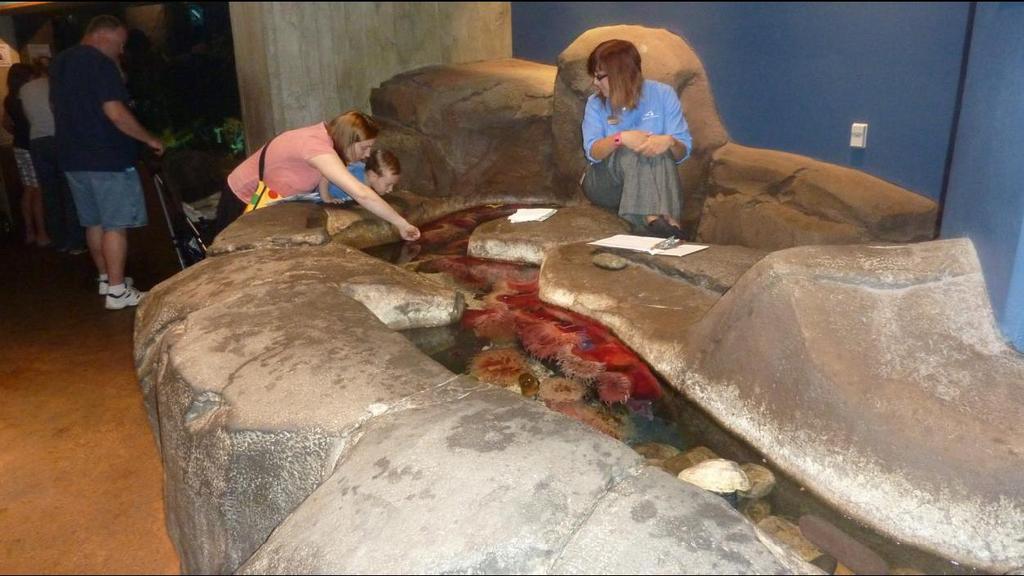 For example the traditional Touch Tank has a member permanently in