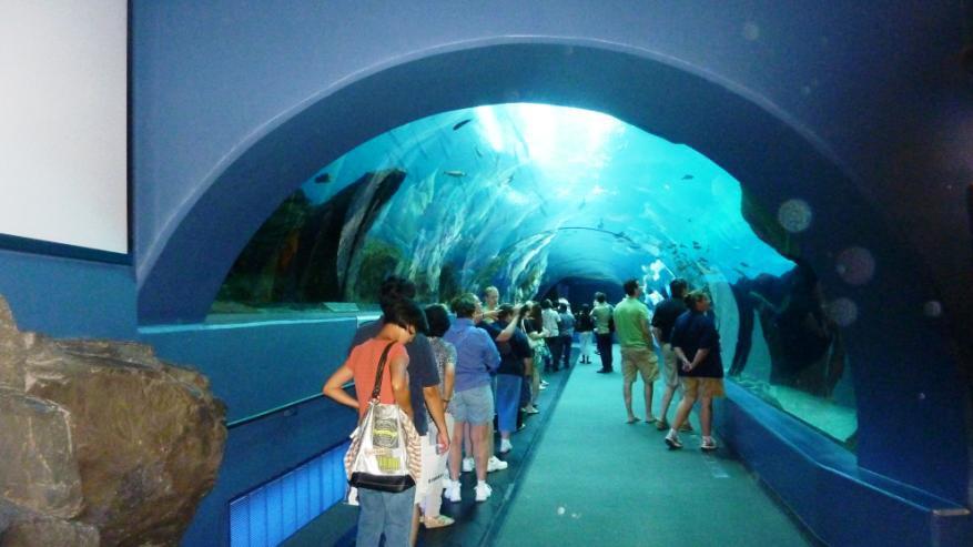 The Aquarium also has a ballroom that can accommodate 6,000 guests, and a cinema with a 3D film (4D actually - water sprays and vibrating chairs included).