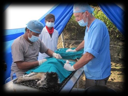 number of Nepalese volunteer paravets and vet students.