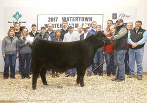 2017 Watertown Winter Farm Show :: Supreme Champion Heifer Paternal Sister to Lots 4 & 20 Dandy Acres Outright 20 DOB: 03/08/16 AAA 18738323 Tattoo: 20 20 K C F Bennett Absolute Act. BW 83 lbs.