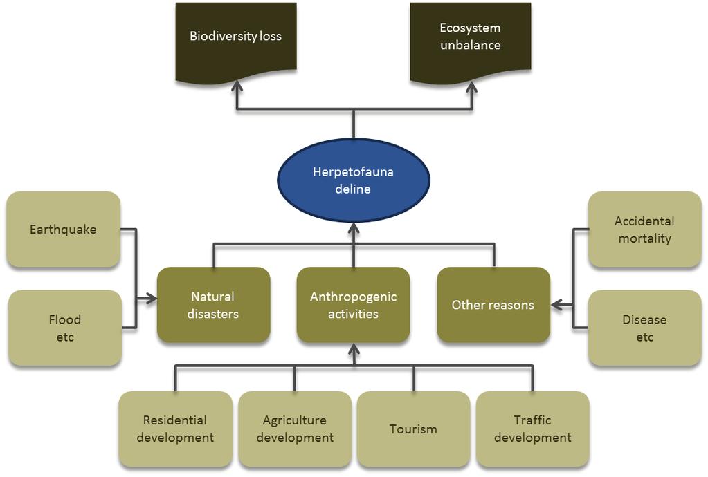 Chapter 1 Figure 1-1 General problem tree for the issue of herpetofauna decline There are four types of anthropogenic activities, which are tourism, agriculture, traffic and residential developments,