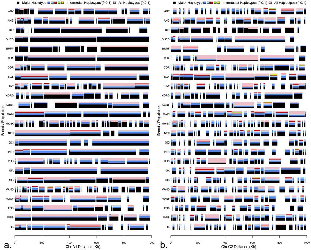 Figure 5. Domestic cat haplotype structure and diversity of two autosomal regions. a) Haplotype analysis of chromosome A1 region, which exhibits long extent of LD.