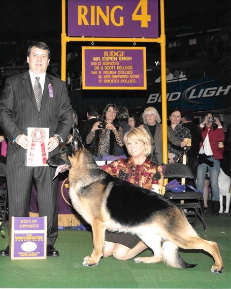 Mythical Zeus of Black Forest, bred by GSDCMSP member Julie Swinland. I first saw Connie at a banquet about 11 years ago when she was being talked into taking on the job of club secretary.