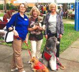 Page 6 December 2015 Chatter-Barks Ormond Christmas Parade Our Club will be walking in the Ormond Christmas Parade on December 12, 2015.