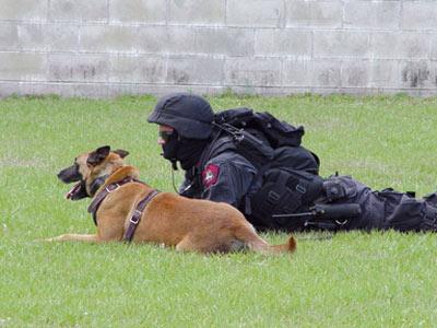 The officer often takes the dog out for short sessions during