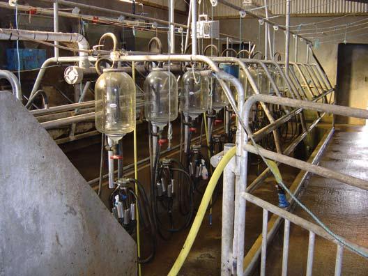 Development of a HACCP-based approach for the control of mastitis in dairy cows Beekhuis-Gibbon, L.