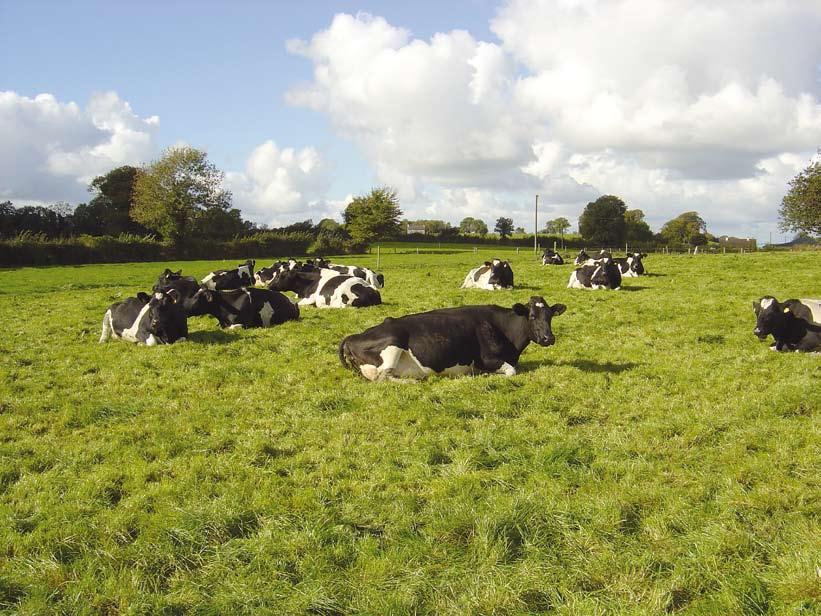 Prevalence and distribution of paratuberculosis (Johne s disease) in cattle herds in Ireland Good, M., Clegg, T.A. 2, Sheridan, H., Yearsely, D. 3, O Brien, T. 3, Egan, J. 3, Mullowney, P.