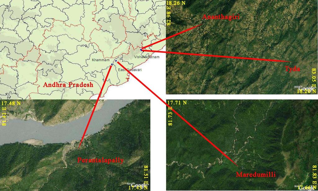 Image 1. Map indicating the locations of the study sites in Andhra Pradesh, India and ferns as undergrowth.