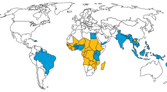 Filariasis ~150 million people