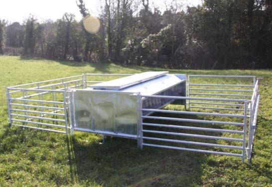 Creep Feeding Allows lambs access to extra feed.