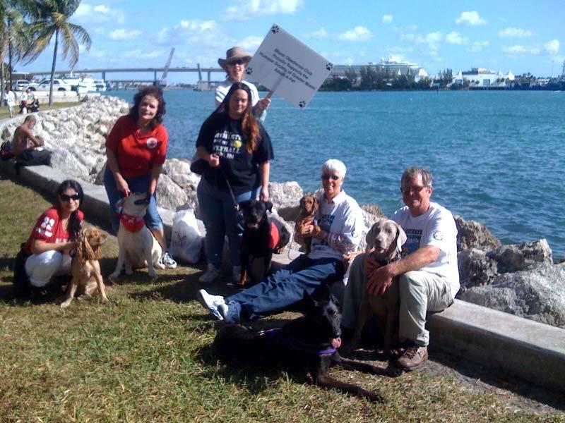 Humane Society of Greater Miami/Adopt-A-Pet - Walk for the Animals By Nancy Bloom The HSGM WALK FOR THE ANIMALS took place this past Saturday, 2/21/09. It was a beautiful south Florida winter day.