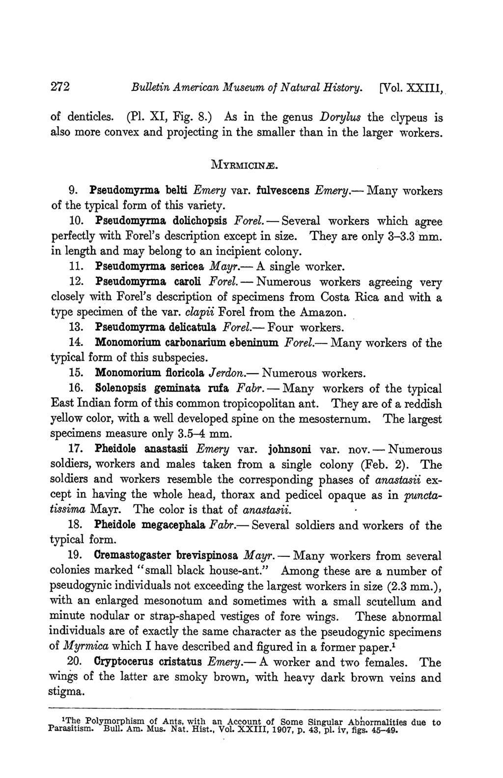 272 Bulletin American MIuseum of Natural History. [Vol. XXIII, of denticles. (P1. XI, Fig. 8.
