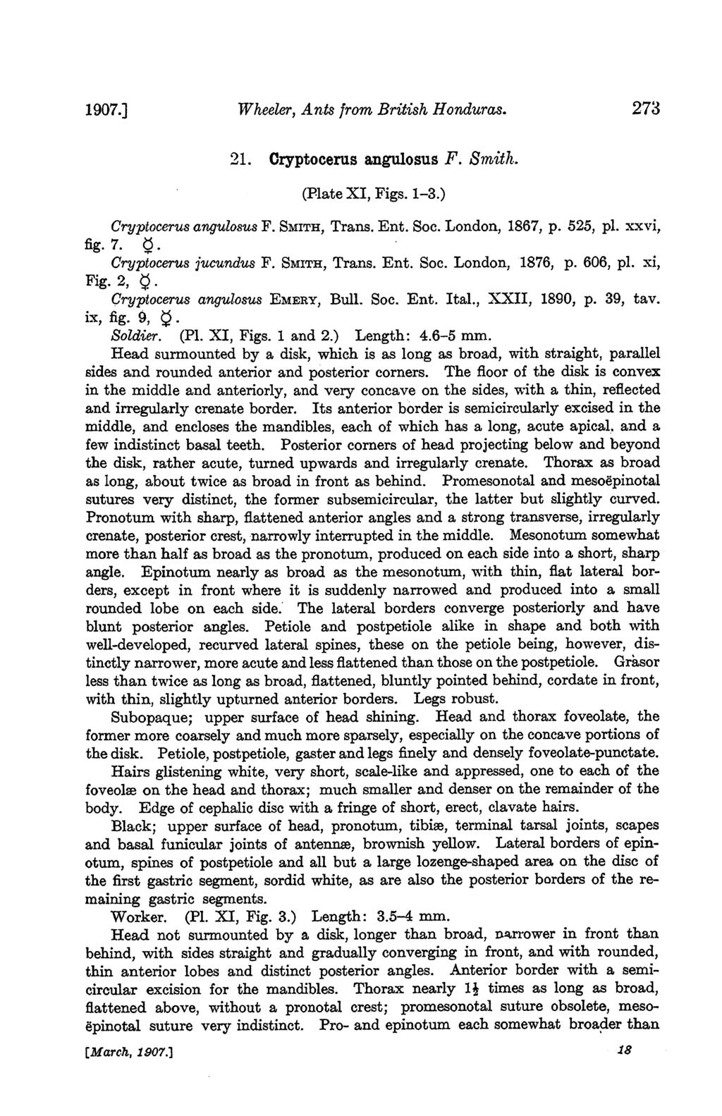 1907.] Wheeler, Ants from British Honduras. 273 21. Oryptocerus angulosus F. Smith. (Plate XI, Figs. 1-3.) Cryptocerus angulosus F. SMITH, Trans. Ent. Soc. London, 1867, p. 525, pl. xxvi, fig. 7. d.