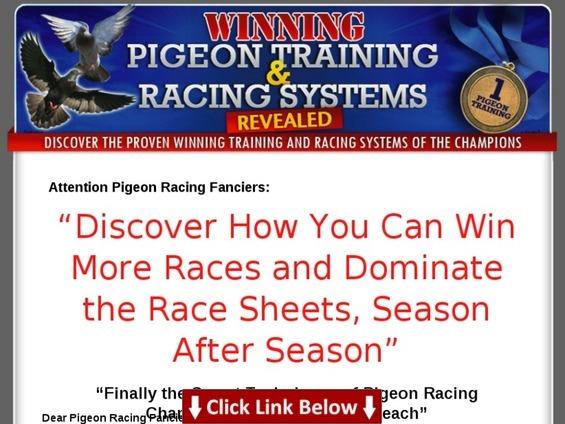 big book of endurance training and racing reviews; pigeon racing shop; pigeon racing in