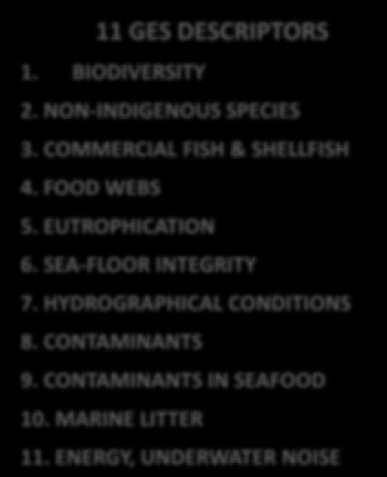 CONTAMINANTS IN SEAFOOD 10.