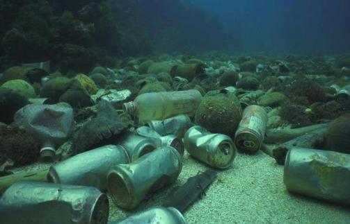 seabed water column at levels that do not cause harm to the