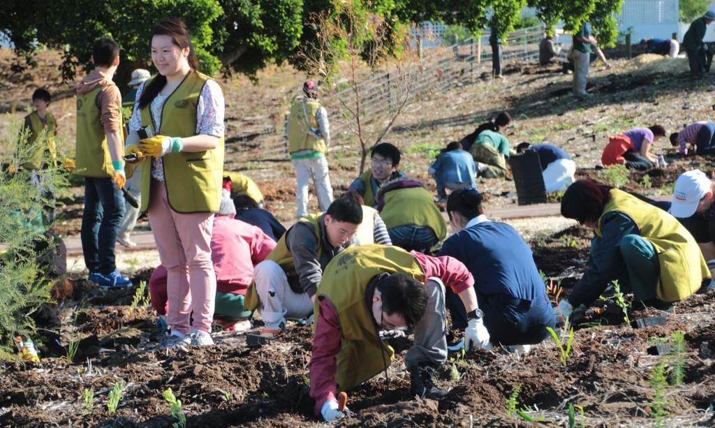 The Buddist TZU-CHI Volunteers group attended for the second year in a row and planted nearly half the total number of seedlings.