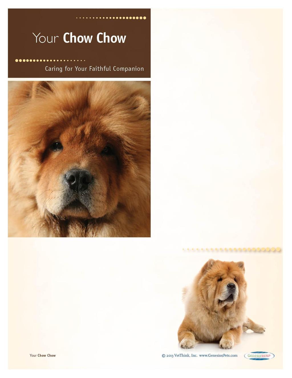 RoughCoated Chow Chows: What a Unique Breed! Your dog is special! She's your best friend, companion, and a source of unconditional love.