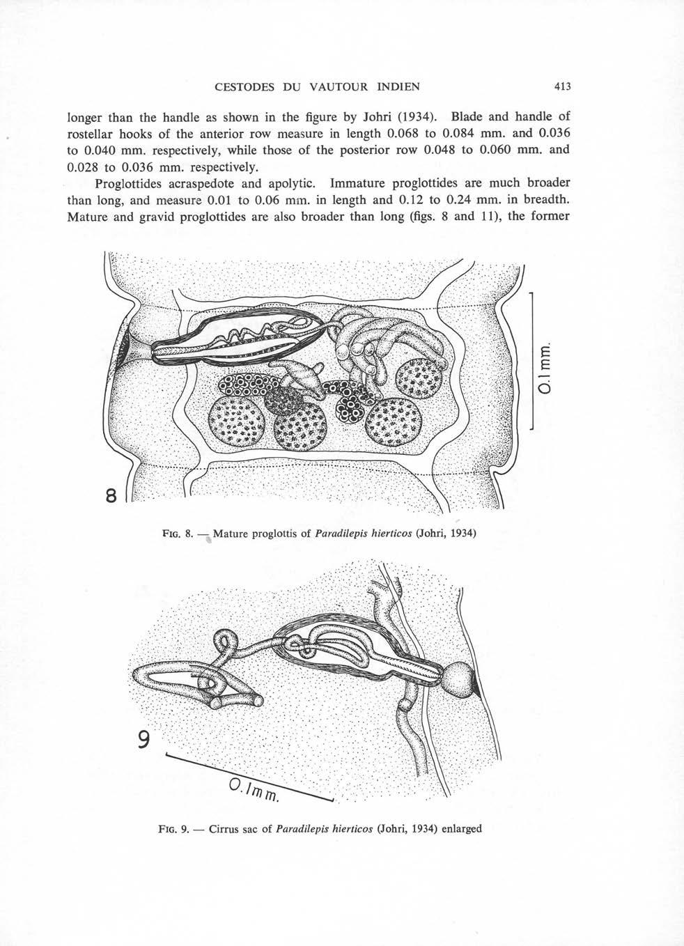 CESTODES DU VAUTOUR INDIEN longer than the handle as shown in the figure by Johri (1934). Blade and handle of rostellar hooks of the anterior row measure in length 0.068 to 0.084 mm. and 0.036 to 0.