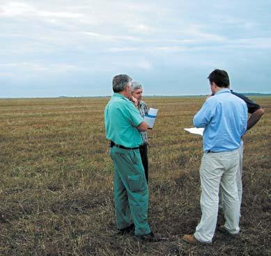 Land purchase Field negotiations Purchased land per project sites in hectares Long term subsistence of great bustard's habitats can be ensured by the land purchase of conservation organisations.