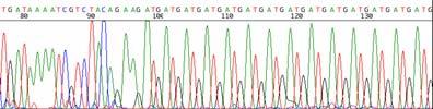 Mitochondrial DNA Sequence Data Microsatellites (DNA fingerprinting) Themes addressed by