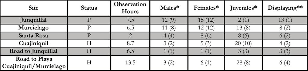 Table 1. Numbers of each class of individuals seen in each site. In protected sites (P), many more adults were seen than juveniles, while in hunted sites (H) many more juveniles were seen than adults.