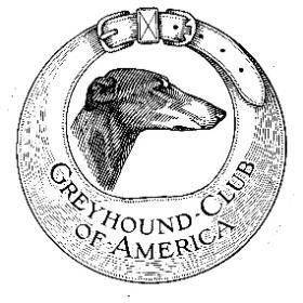 Greyhound Club of America The Greyhound Club of America is the national breed club for Greyhounds within the American Kennel Club.