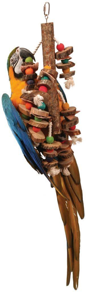 Figure 1. Toys should be rotated weekly to boost mental stimulation. IMAGE: Northern Parrots.