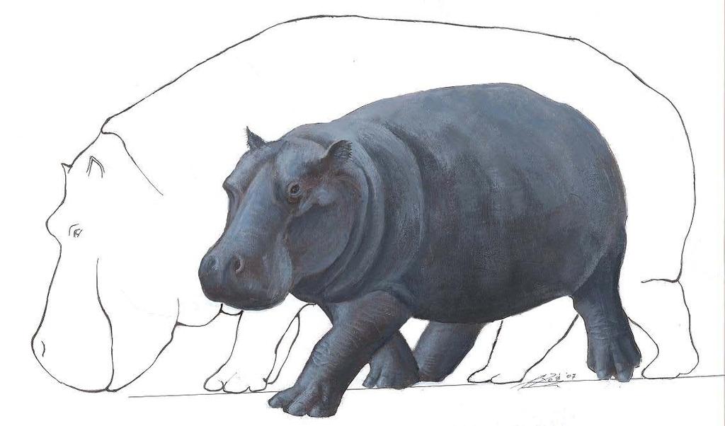 (Hippopotamus creutzburgi) + giant rat (Kritimys