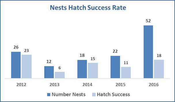 Graph C: Average number of sea turtle nests laid compared to average number of nests that hatched in the northern Outer Banks of North Carolina over the five year period 2012-2016 Graph D: Average