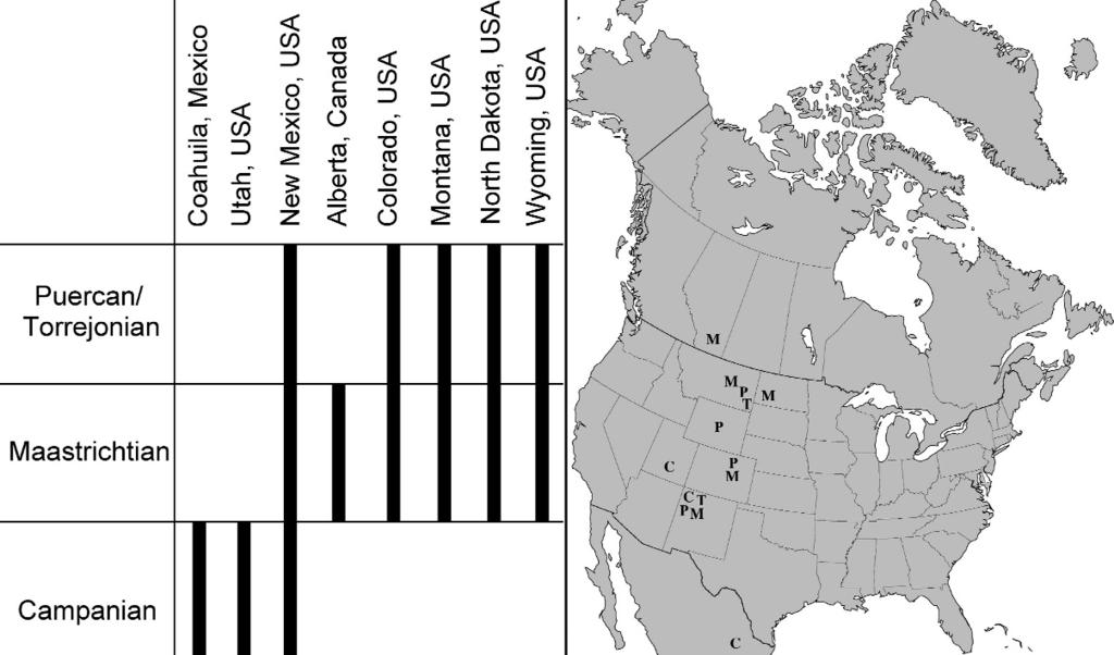 LYSON AND JOYCE PARACRYPTODIRAN TURTLE PHYLOGENY 793 FIGURE 3 Stratigraphic range diagram (left) and map of North America (right) illustrating the current known stratigraphic (Campanian C,