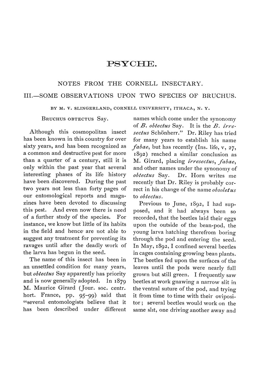 PSYCHE. NOTES FROM THE CORNELL INSECTARY. III.mSOME OBSERVATIONS UPON TWO SPECIES OF BRUCHUS. BY M. V. SLING]RLAND, CORNILL UNIVERSITY, ITttACA, N. Y. BRUCHUS OBT:ECTUS Say.