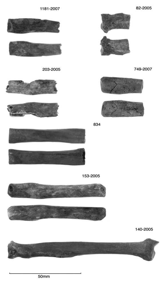 The dry and the wet: The variable effect of taphonomy on the dog remains from the Kohika Lake Village, Bay of Plenty, New Zealand 465 Figure 14. Percentage of each dog element that had been worked.