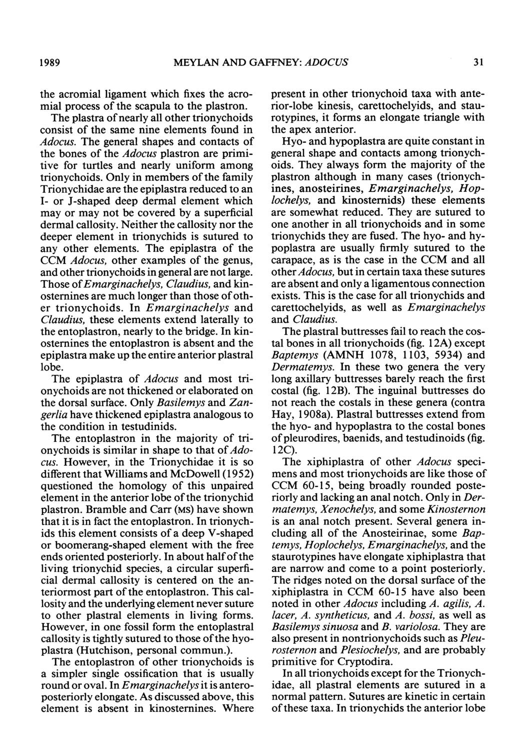 1989 MEYLAN AND GAFFNEY: ADOCUS 31 the acromial ligament which fixes the acromial process of the scapula to the plastron.