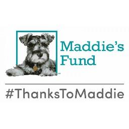 Maddie's Fund Michigan Friends of Companion Animals Michigan Friends of Companion Animals is a coalition and network of businesses and animal welfare