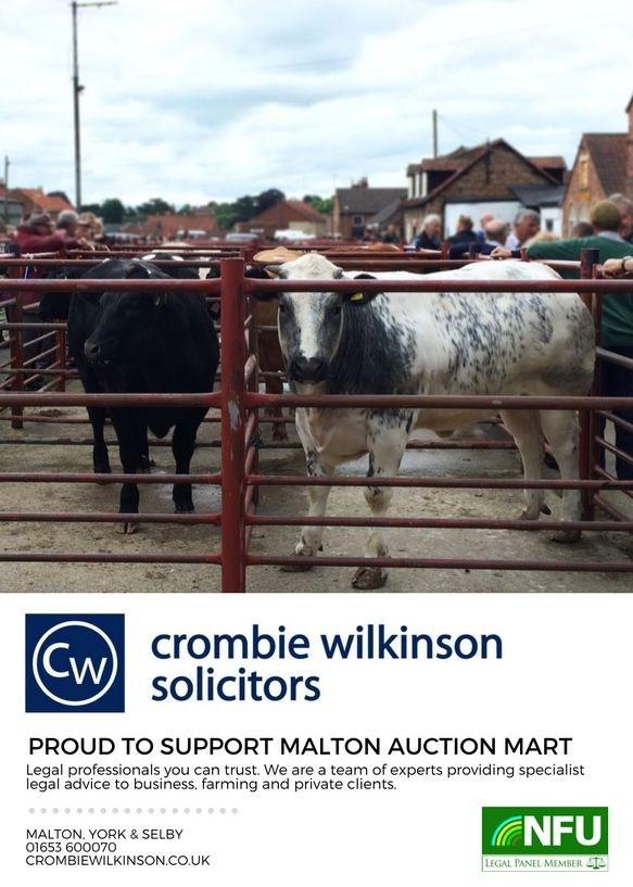 MALTON MARKET CONTACT DETAILS Will Tyson (Auctioneer) - Mobile: 07977 560109 - Email: will.tyson@cundalls.co.uk Philip Place (Auctioneer) - Mobile: 07702 853697 - Email: philipplace@boultoncooper.co.uk Keith Warters (Auctioneer) - Mobile: 07850 915249 - Email: keith.