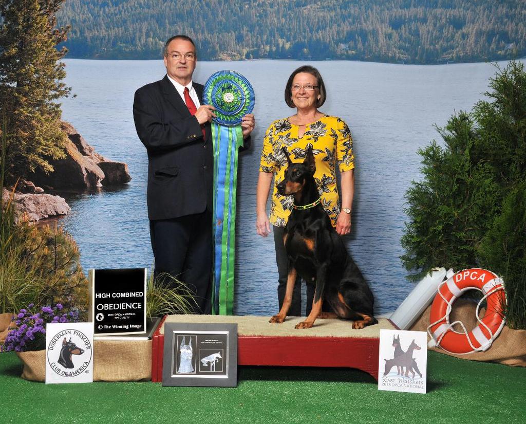 Rally Advanced QS 100 for 1st place both Sat & Sun NEW TITLE, RA Grad Open QS 193 and 196 1/2 both for 1st place NEW TITLE, GO CONGRATULATIONS to Cory Dold s Dalmatian, Daisy!