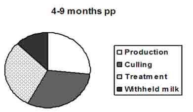 postpartum months) and the end (4-9 postpartum months) of the