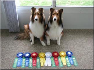 BRAGS Congratulations to Peter & Yvette Grandillo: They are happy to say that At the Beaver County Kennel Club Agility Trial (Pittsburgh Convention Center) on March 29 th & 30 th, MACh 2 Cammi and